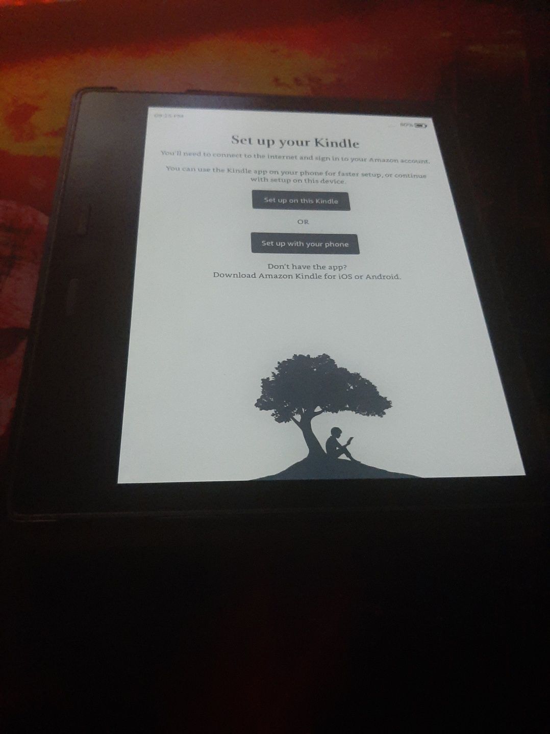 Kindle Oasis 3 Bez reklam 100%SPRAWNY SUPER  STAN!! Plus Piękne Etui