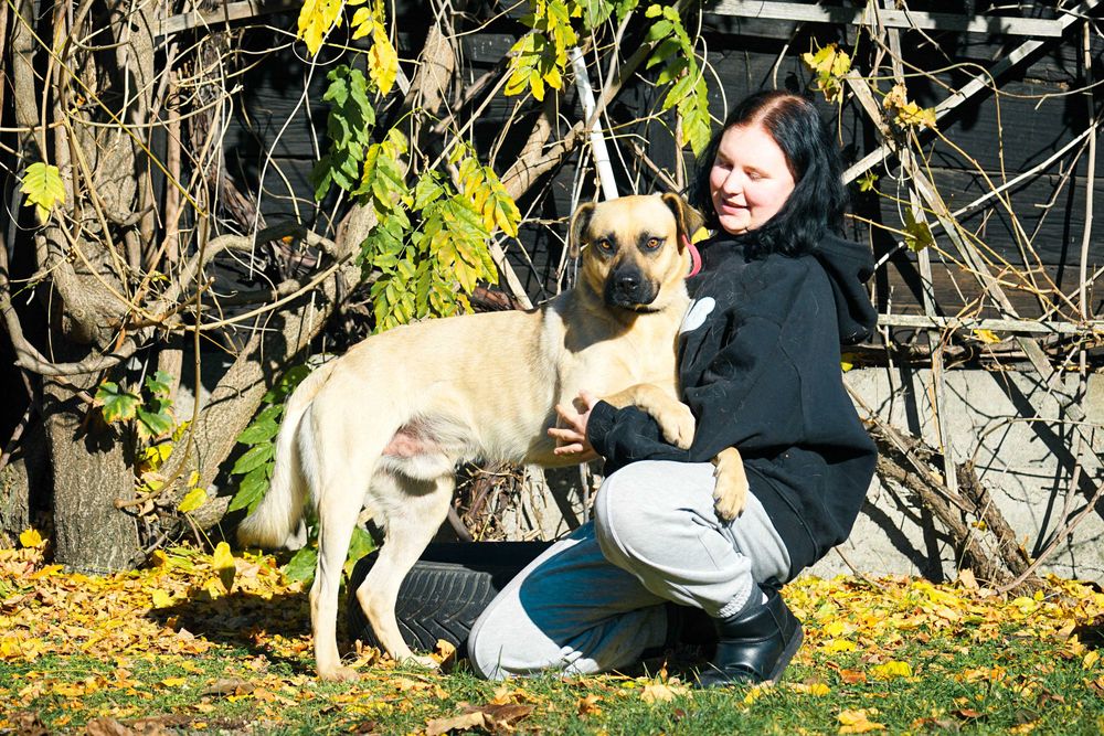 Frodo - piękny, duży pies