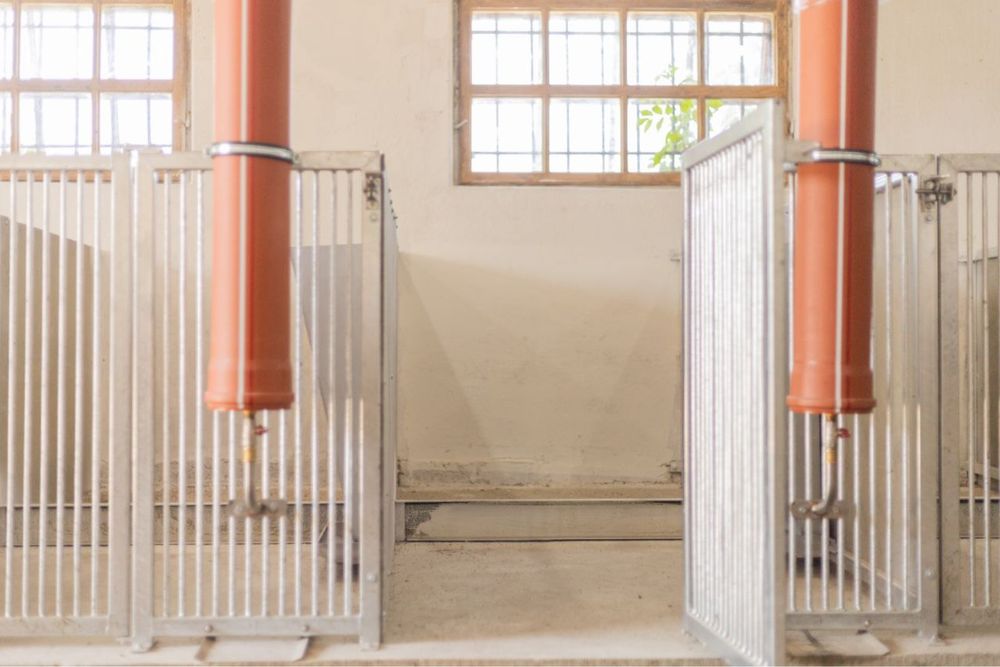 Продаж Ферми Новий напрямок