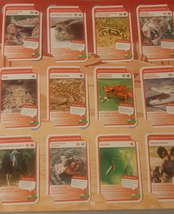 Super zwierzaki - album z kartami i zabawami