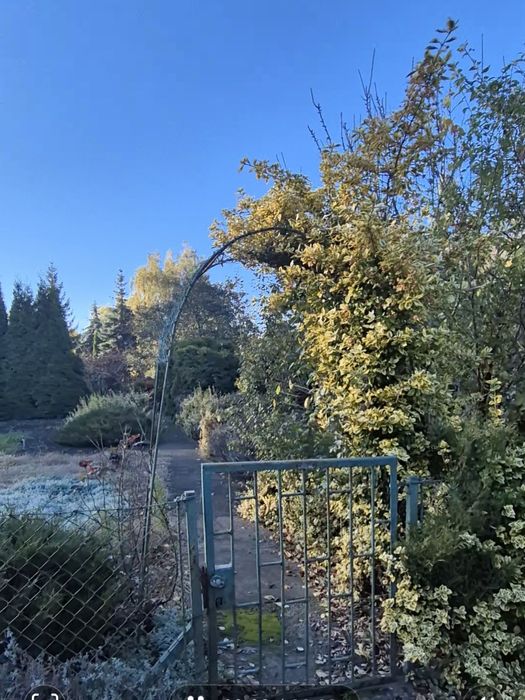 Działka ROD im. Paszkowiaka w Poznaniu, 550m²