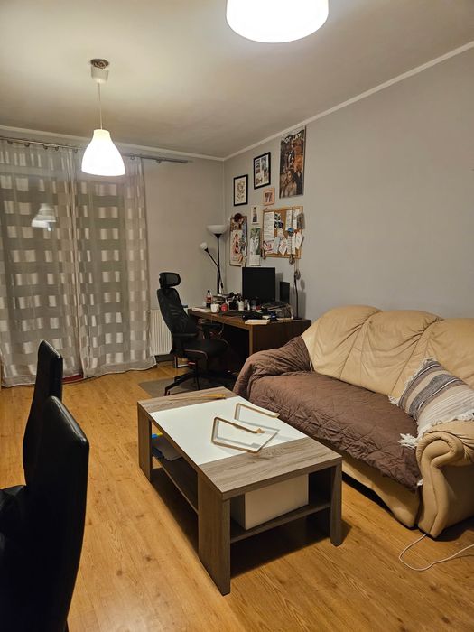 mieszkanie do wynajęcia