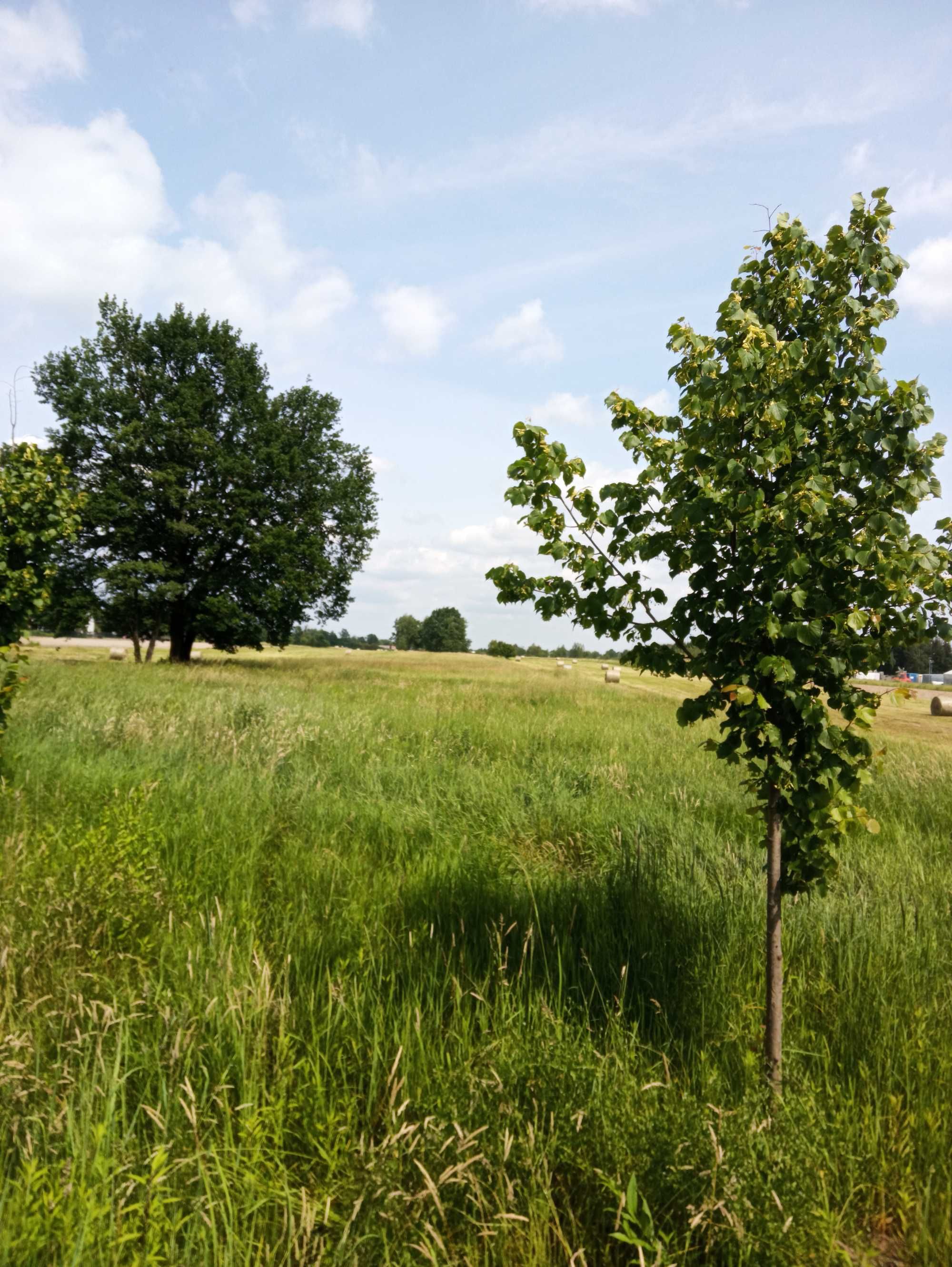 Sprzedam ziemię gm. Konstancin-Jeziorna