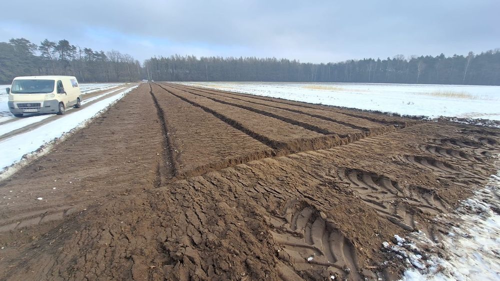 Mulczowanie, Wycinka drzew, Czyszczenie działek, Mulczer