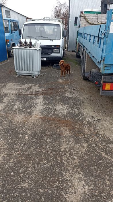 Знайдено собачку. Після вибухів забігла на базу по вул вел. кільцева 4