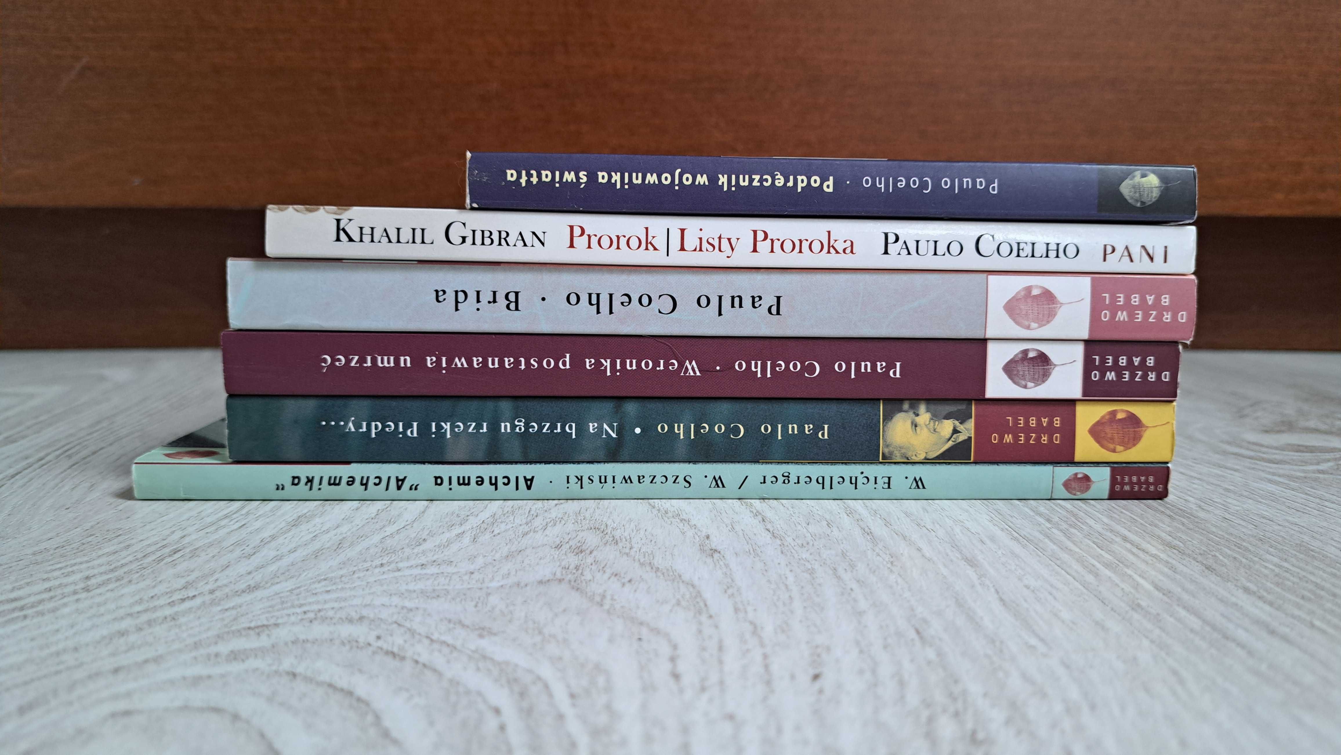 6 Coelho Podręcznik Wojownika Brida Prorok Weronika Alchemia alchemika