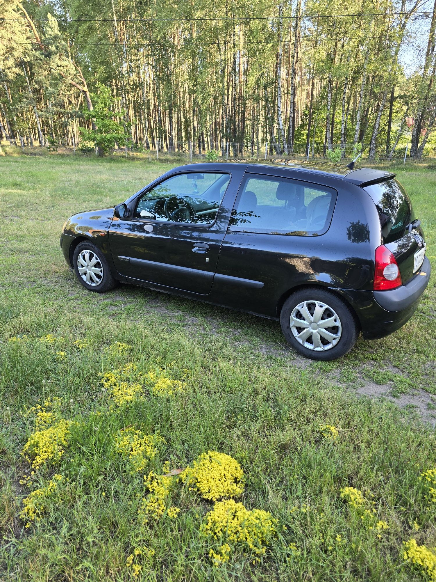 Renault Clio II 1.4 16V klima