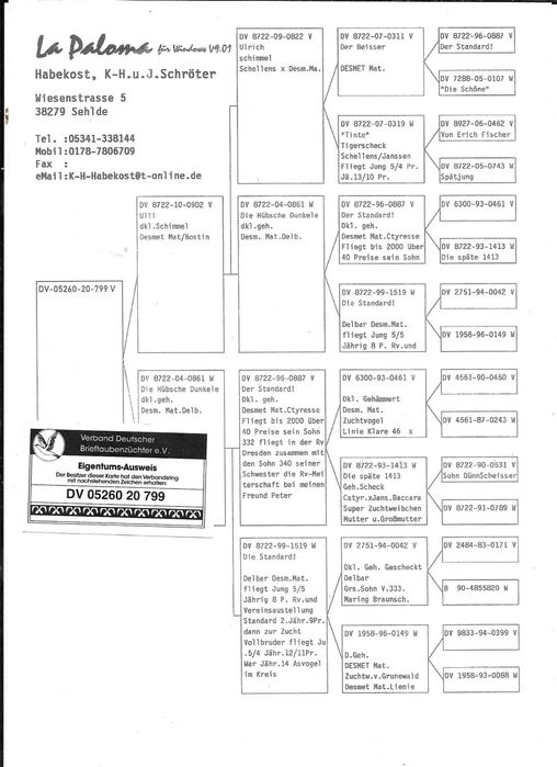 Gołębie pocztowe Gołąb Samice DV ;2020  Desmet Matthijs  rodowodem