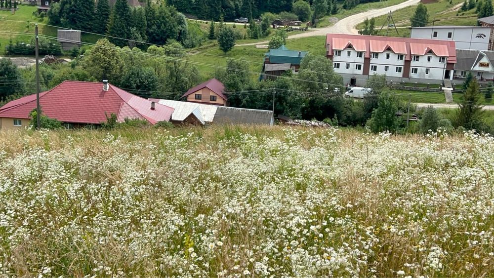 Продається у центрі Пилипця ділянки