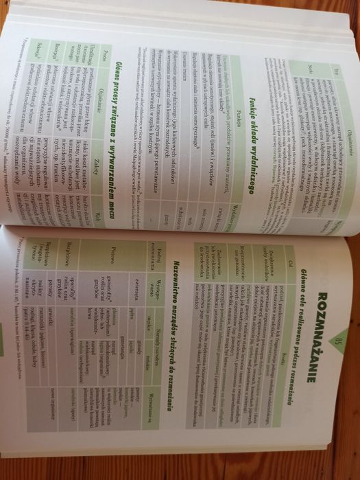 Tablice szkolne biologia adamantan