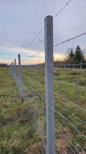 Ogrodzenia Tymczasowe Leśne działki ogrodzenie