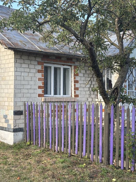 Продається будинок в с. Низи