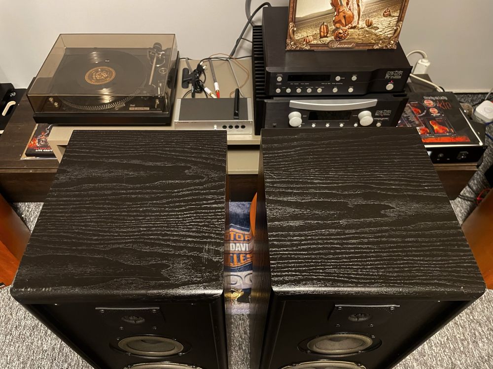 Kolumny podłogowe JBL TLX-420
