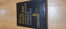 Atlas anatomii topograficznej zwierząt domowych Pedro Popesco Tom II