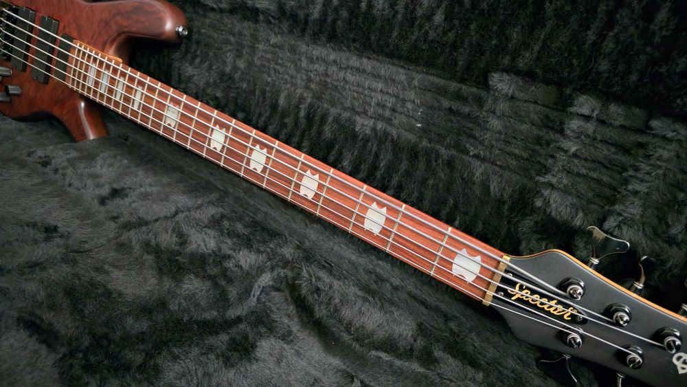 Spector NS5H2 USA 5 strun bas gitara basowa EMG Aguilar 18V case 2013