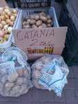 Ziemniaki Catania jasno kremowe 2zl/kg