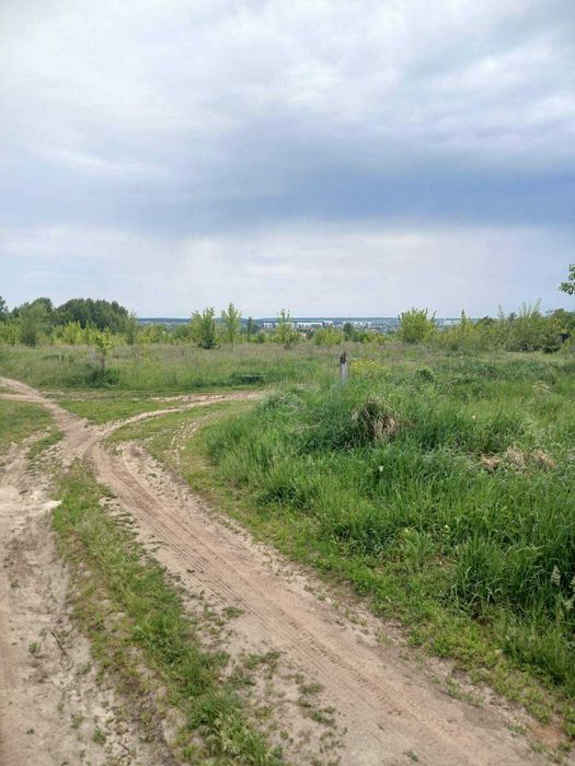 Земельна ділянка 10 соток у селі Шевченкове (Білогородка)
