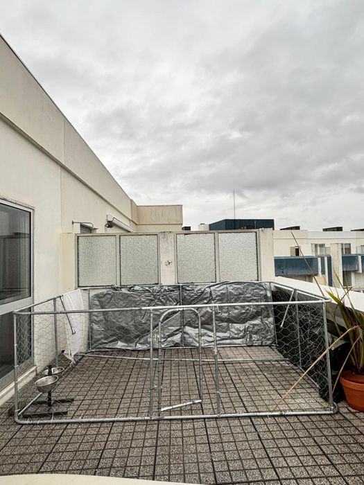 Canil de exterior com telhado