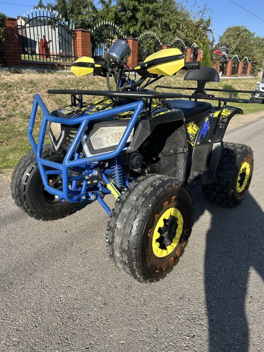 Quad 125 ccm 1+R Beretta