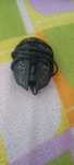 Rato Black de luzes