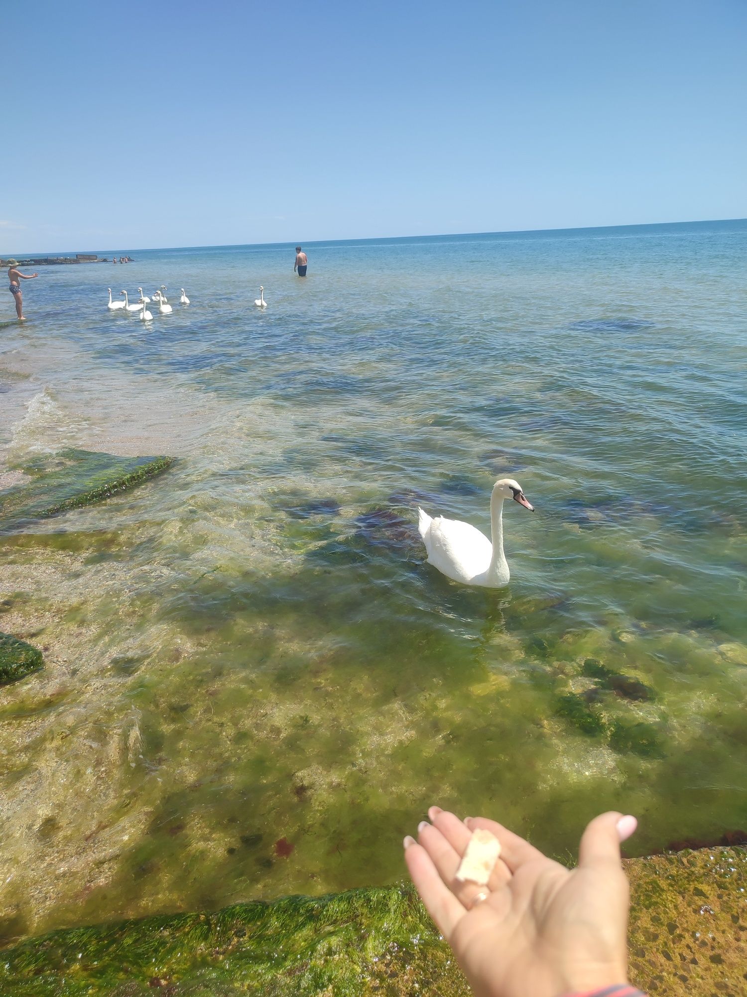 Посуточно домики у моря на берегу, Одесса Вапнярка