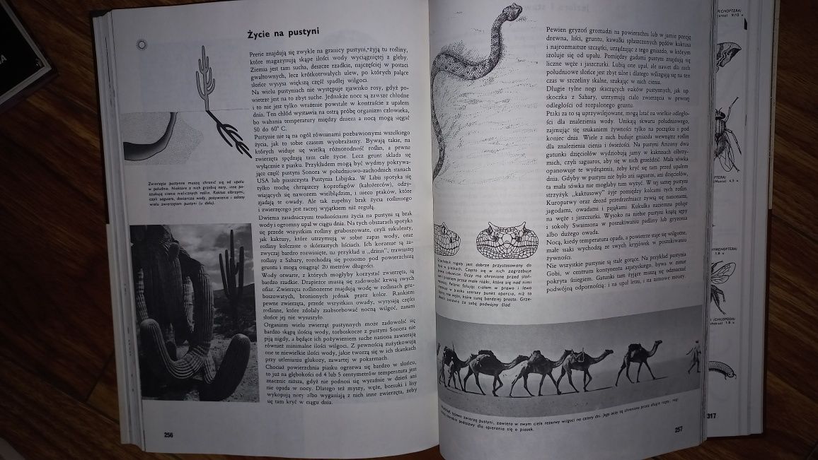 LAROUSSE Ziemia, rośliny zwierzęta