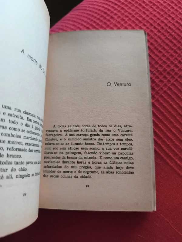 Os Criptogâmicos, de Eduardo Valente da Fonseca