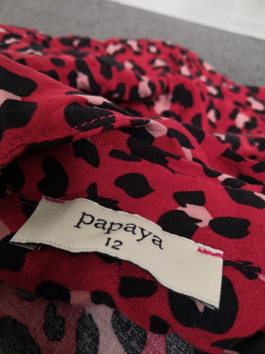 Papaya sukienka koszulowa czerwona w panterkę panterka.