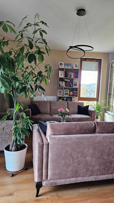 Funkcjonalne 3-pokojowe mieszkanie na Wilanowie