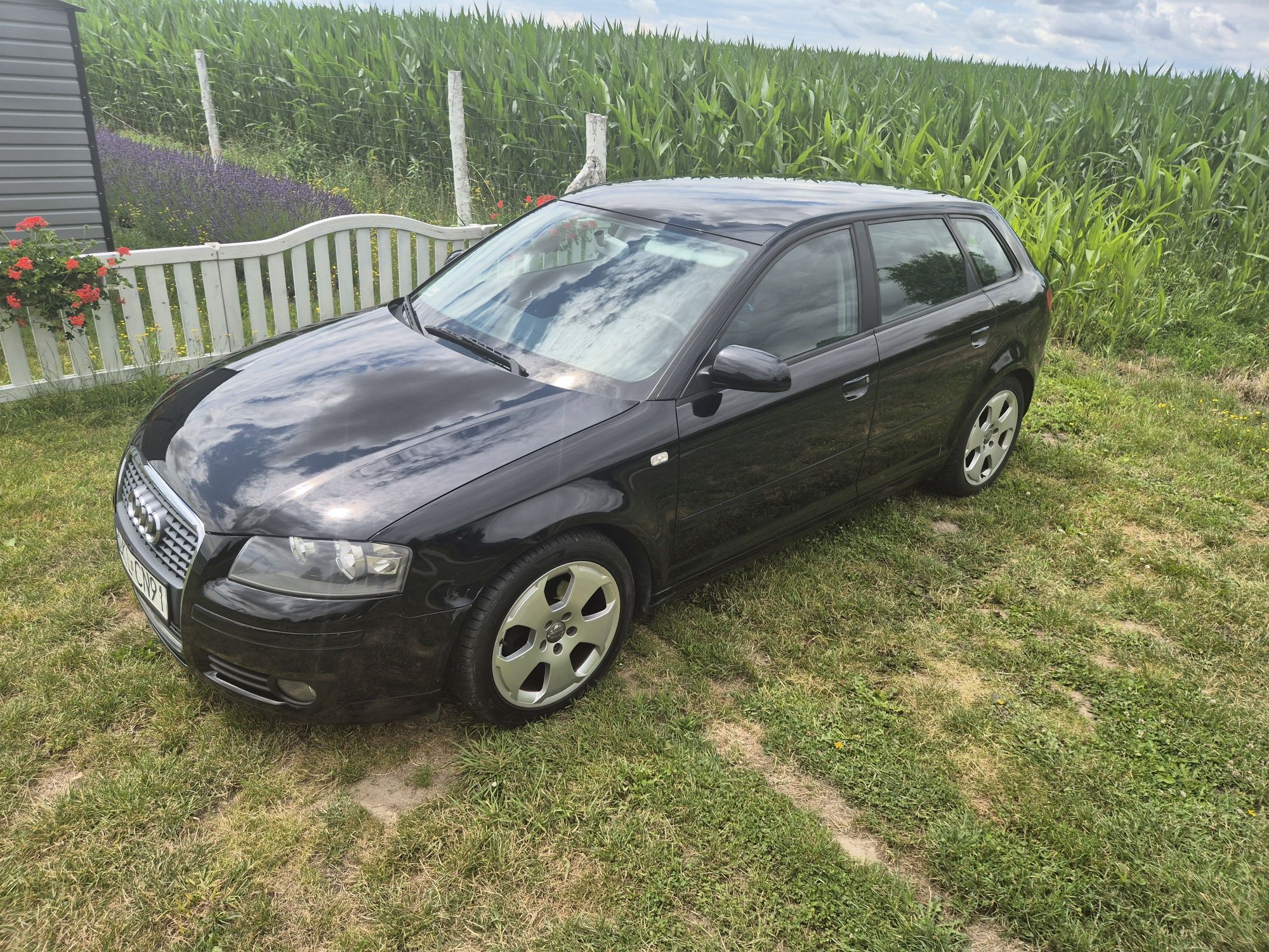 Audi A3 8P Sportback 2.0 TDi 8V 207 000 km oryginalny lakier