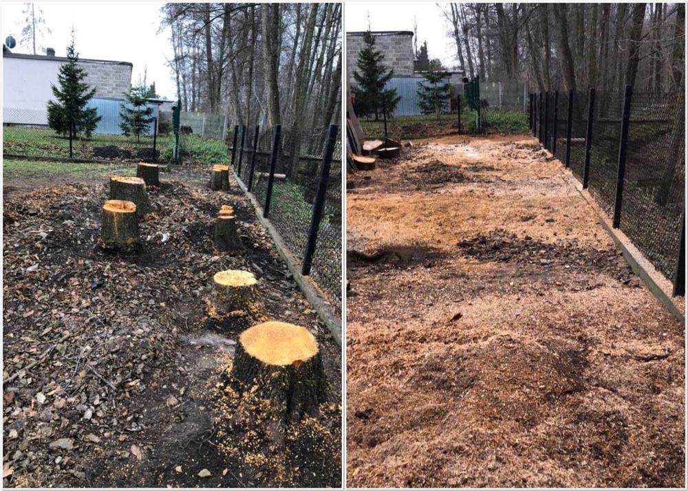 Koszenie trawy, nieużytków, wycinka drzew, frezowanie pni, karczowanie