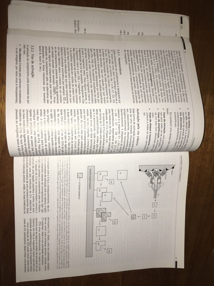 FUNDAMENTOS DE IMUNOLOGIA