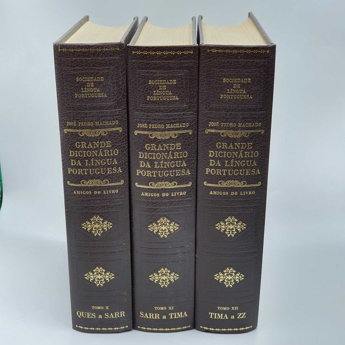 Livro - Sociedade de L.P. - Grande Dicionário da Lingua Port... - Mont
