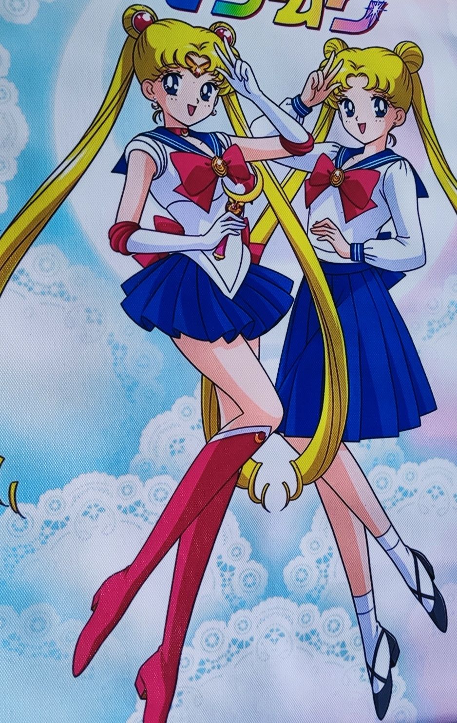 Sailor Moon - obraz plakat na płótnie 30x45.