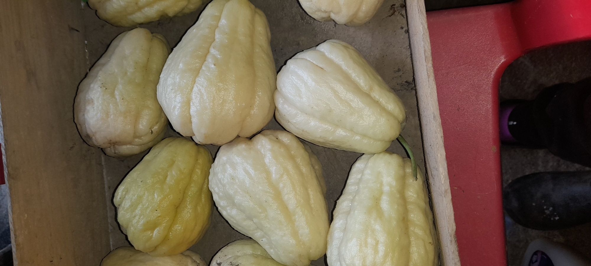 Produtos da horta
