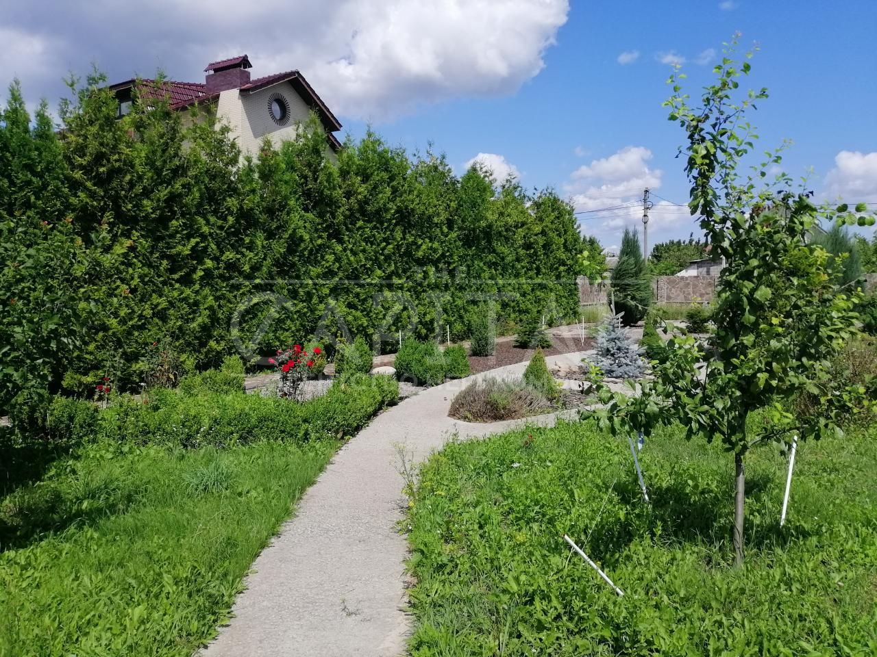 Продаж ділянки з будинком, с. Мархалівка, Васильківський р-н.