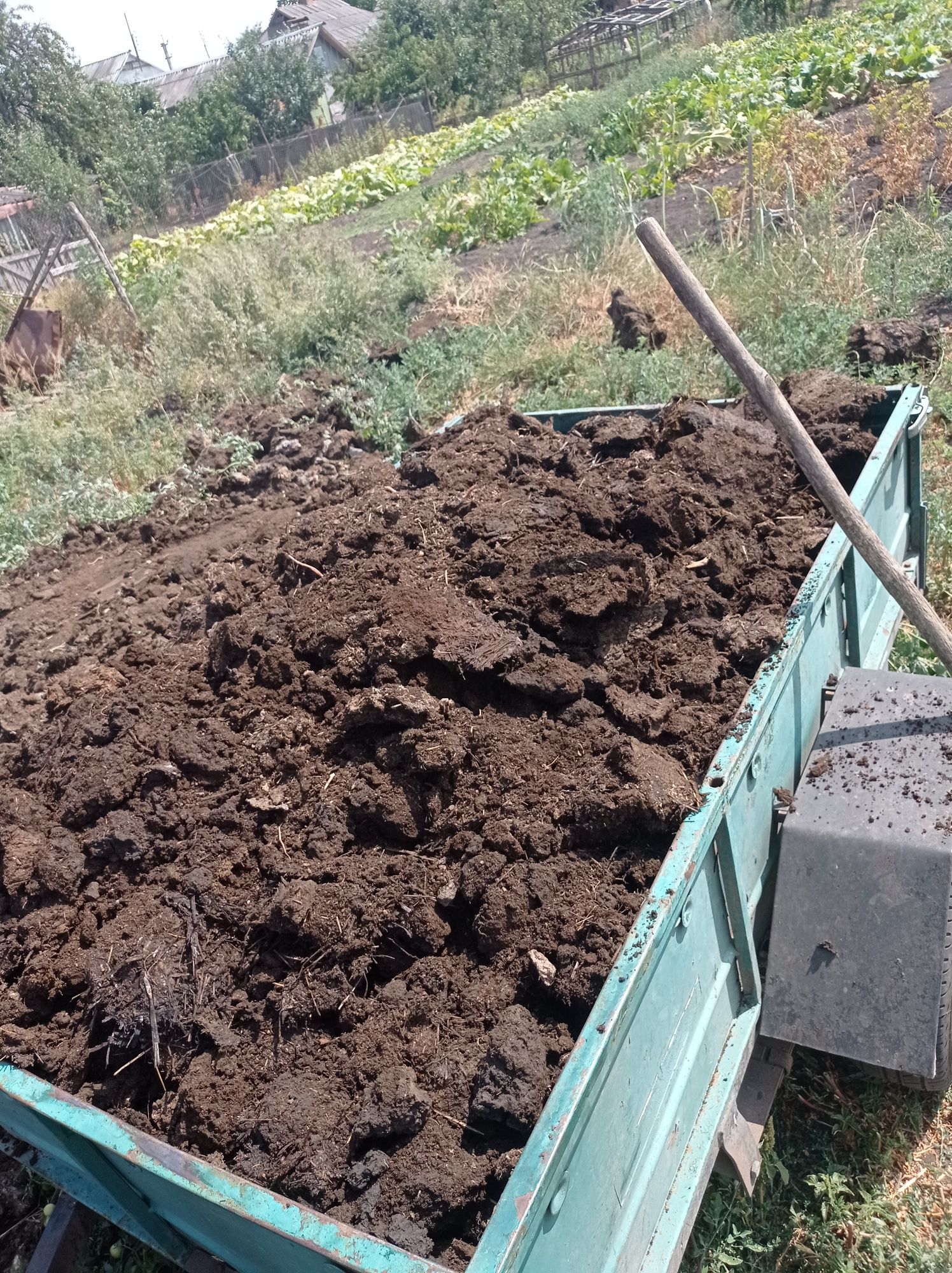 Перегній  Продам перегной коровий