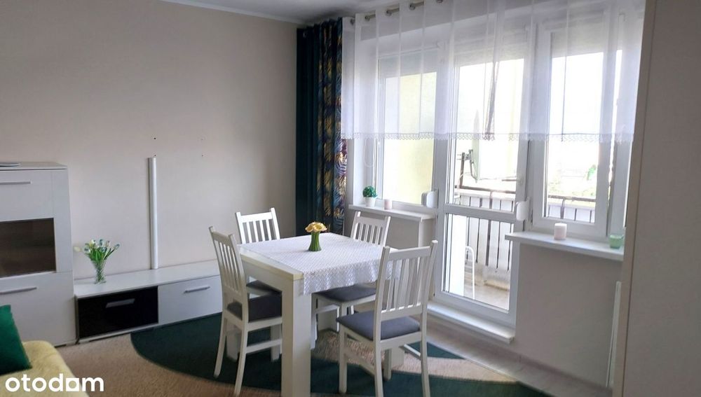 Małe dwupokojowe mieszkanie z balkonem do wynajęci