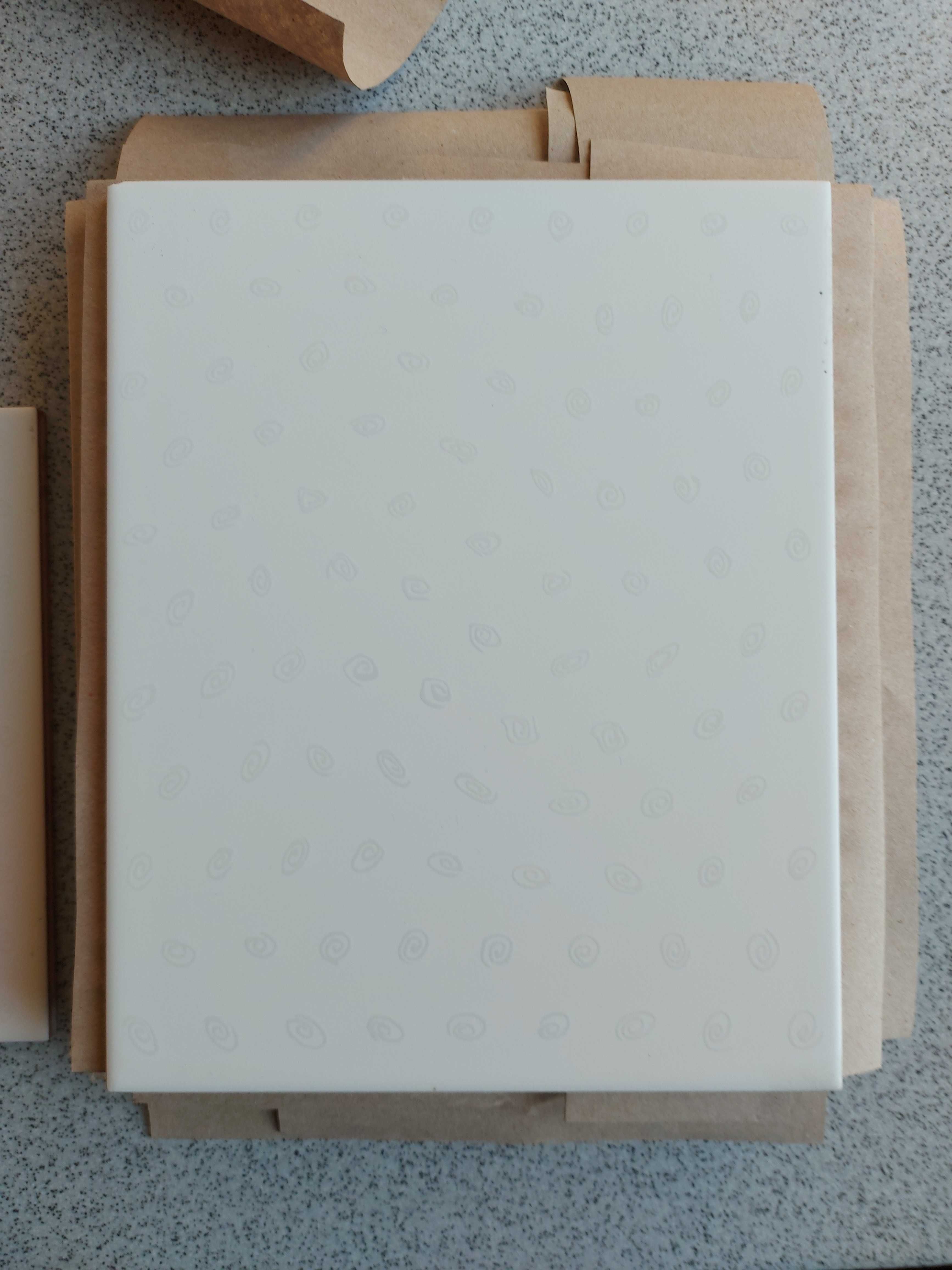 Białe płytki ścienne 25 cm / 20 cm 7 sztuk + skrawki  NOWE