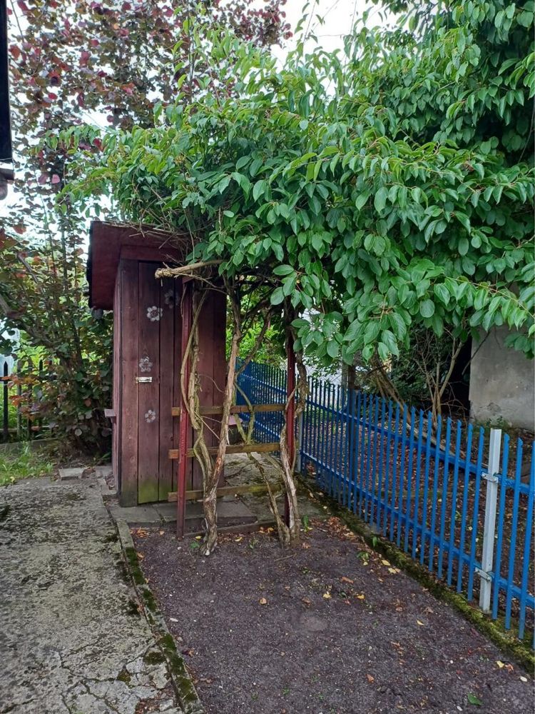 Dzialka ROD w Chełmku