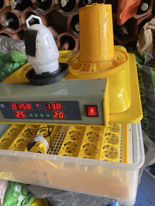 Chocadeira com viragem automatica