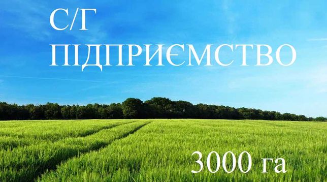 Продажа агропредприятия 3000га в Одесской области