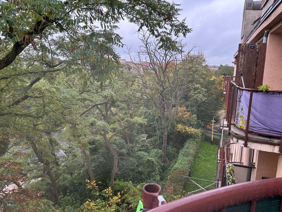 Sprzedam kawalę w centrum Szczecina bez pośrednika