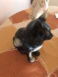 Peças antigas  gatinho  e outras