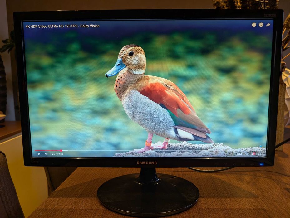 Monitor Samsung S22D300HY LED Full HD 21.5" Black