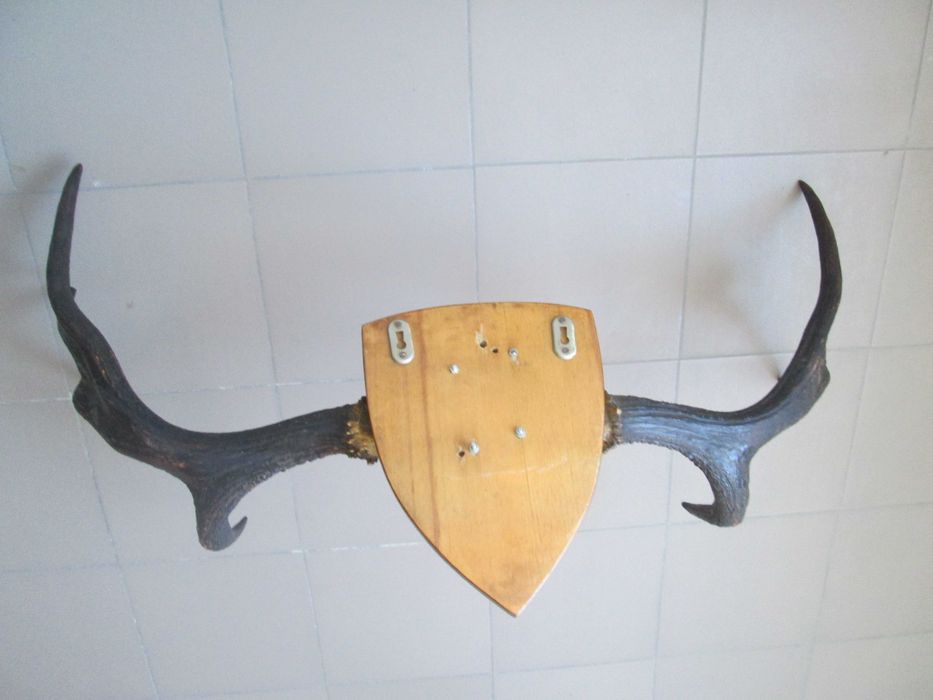 Роги оленячі декоративні (по 4-и відростки) Настінні, 100 х 60 см