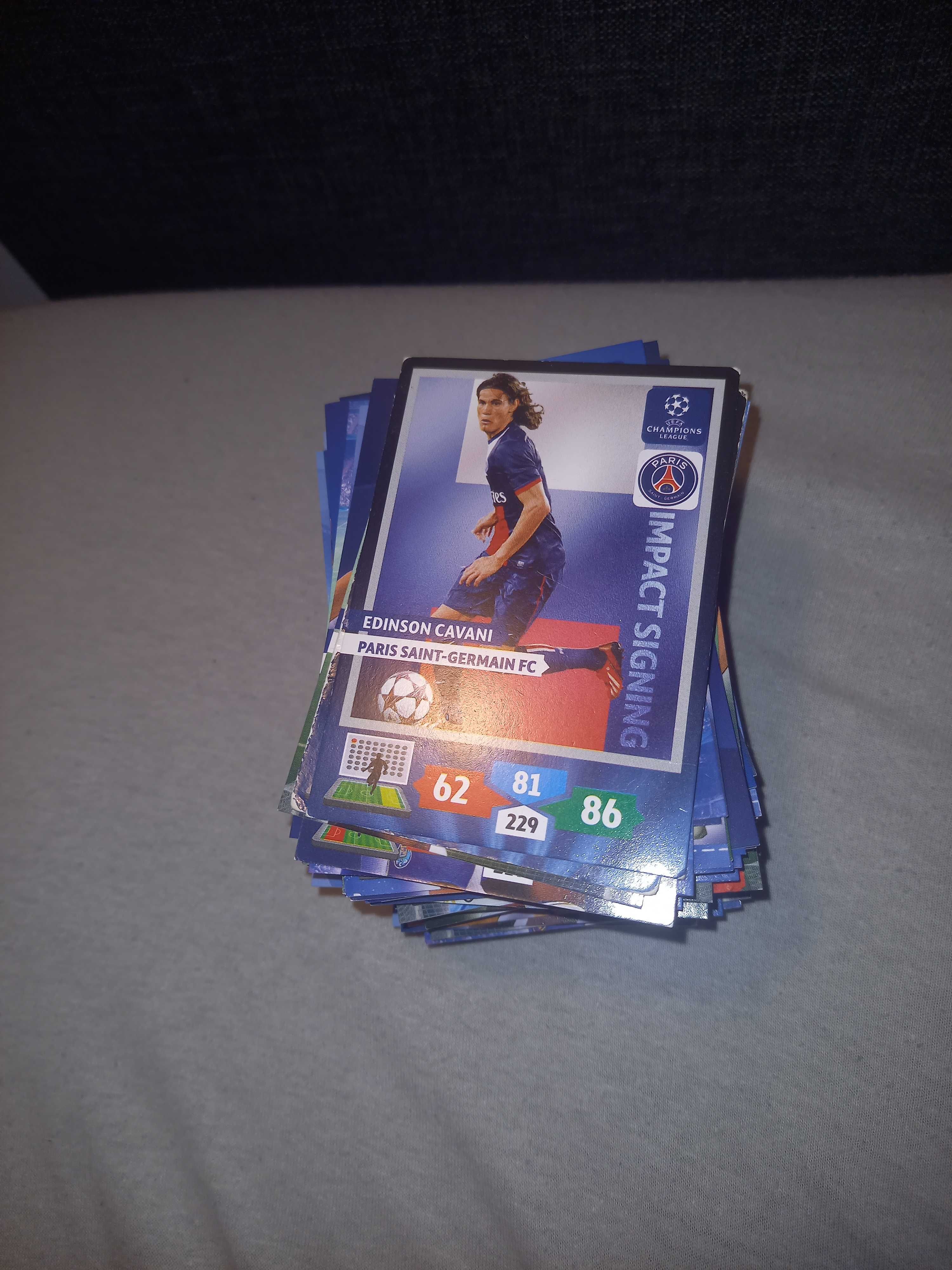 Karty champions league 13/14 panini