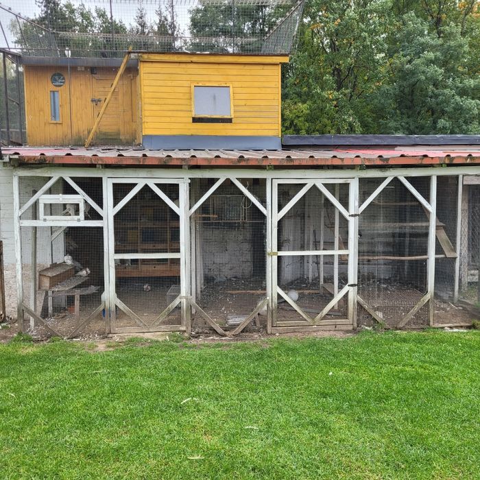 Woliera Wybieg dla kur bażantów gołębi