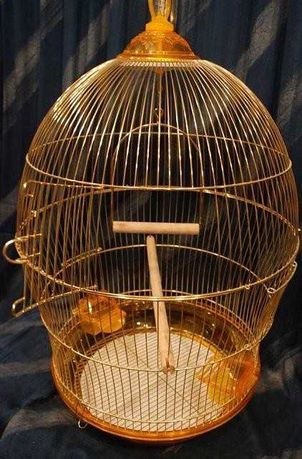 Золота клітка для пташок 49 х 76 см