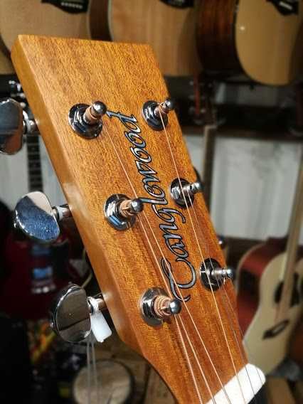 Tanglewood TWR2 DCE gitara elektroakustyczna Roadster II
